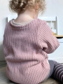 Bild 7 von Mini Schwiiz-Hoodie, Grösse 50-92